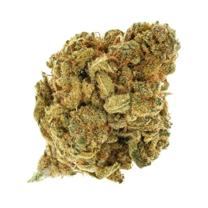 Hash Plant (AA)