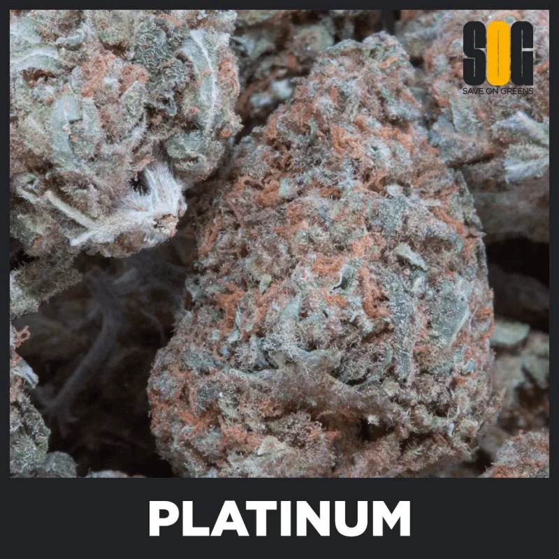 Platinum Bubba (AAA)