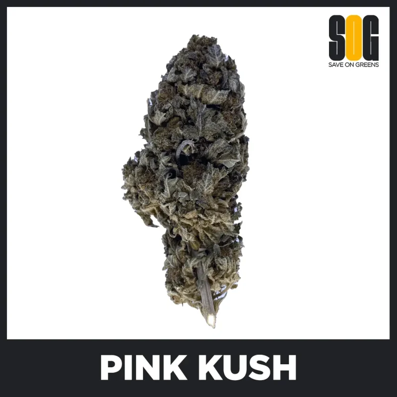Pink Kush