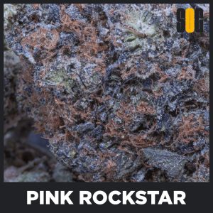 Pink Rockstar