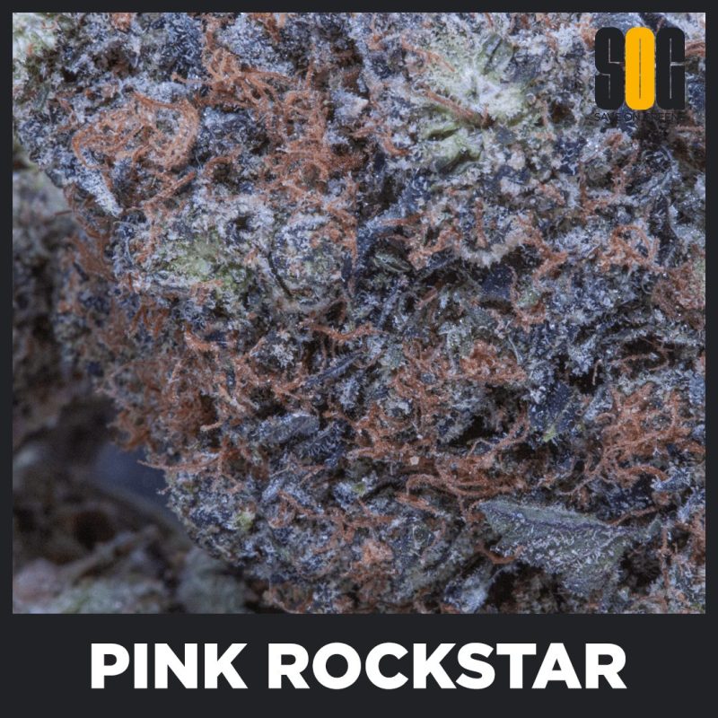 Pink Rockstar