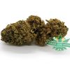 Purple Candy Kush