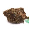 Pink Kush GH