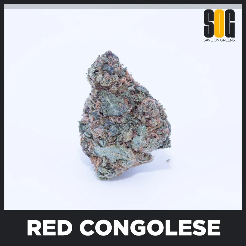 Red Congolese