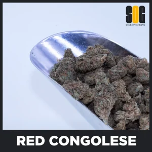 Red Congolese