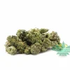 Runtz Popcorn (AA)