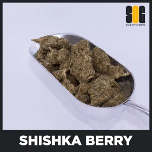 Shishka Berry (AA)