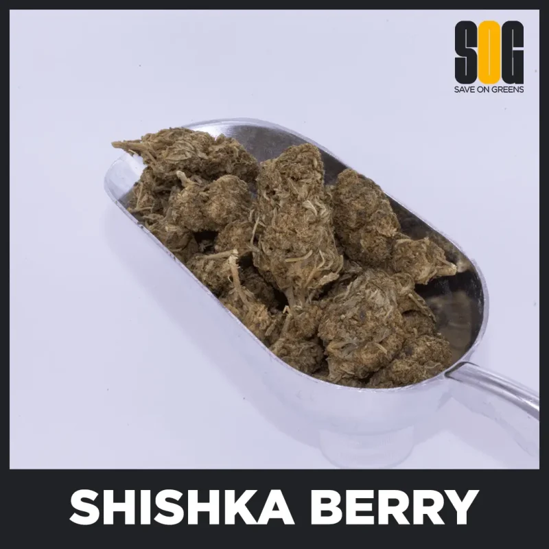 Shishka Berry (AA)