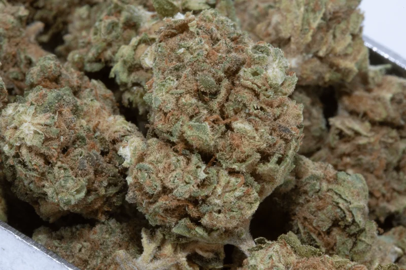 Skywalker Kush