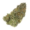 Snow cone (AAAA+)