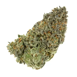 Snow cone (AAAA+)