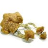 Thai Elephant dung