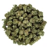 Trainwreck 1