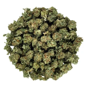 Trainwreck (AA)