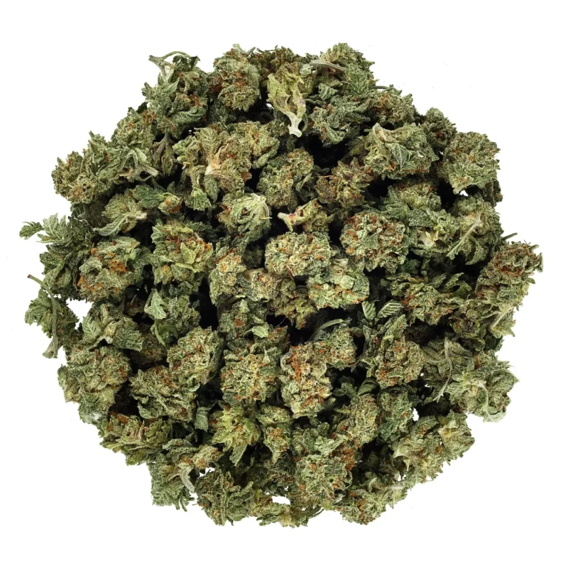 Trainwreck 1