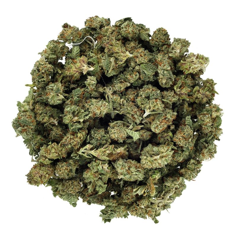 Trainwreck 2