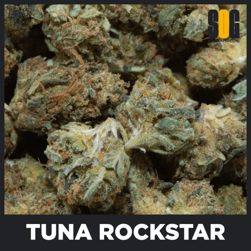 Tuna Rockstar Popcorn (AAAA)