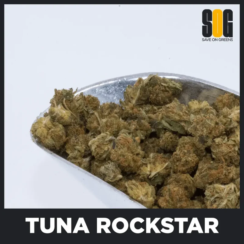 Tuna Rockstar Popcorn