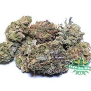 UBC chemo