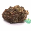 WhiteBerry