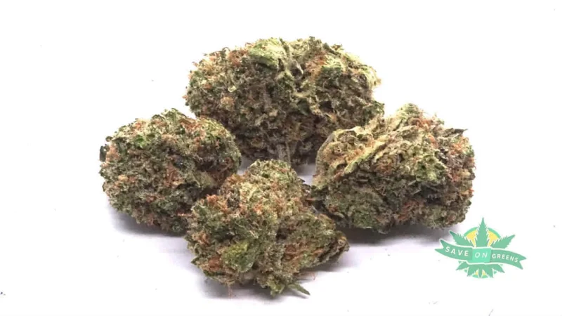 Zombie OG (AAA)