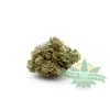 ak47