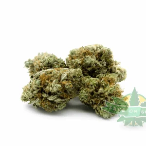 ak47 group
