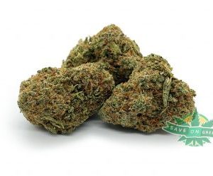 Banana MAC (AAAA)