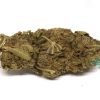 bubblegum 1