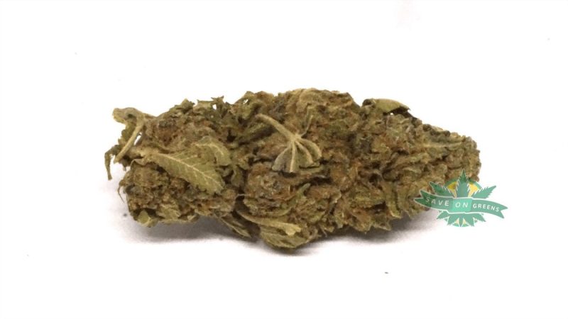 bubblegum 1