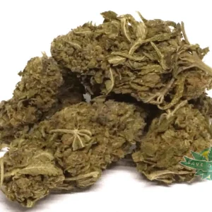 bubblegumbulk 1