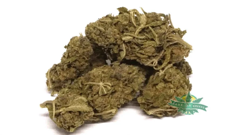 bubblegumbulk 1
