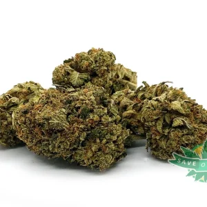 Cali Haze (AA)