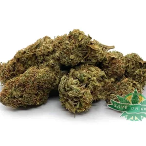 Fatso OG (AA)