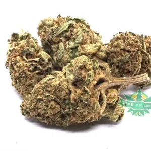 Florida Pink Smalls / Popcorn (AAAA)