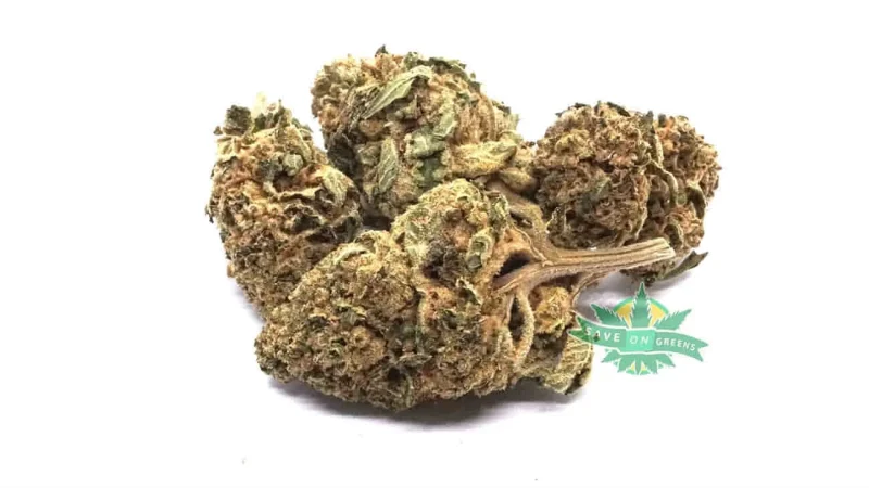 Florida Pink Smalls / Popcorn (AAAA)