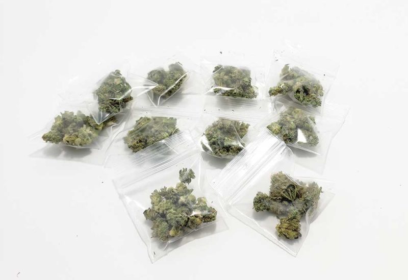free gram samples from westcoastsupply