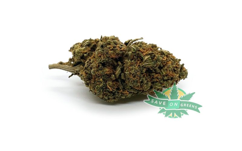 fruitpunch