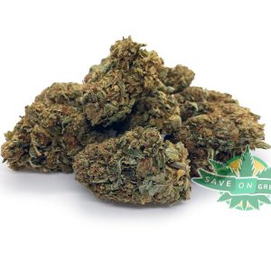 g13 bulks