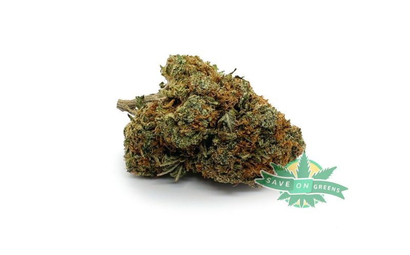 gelato 2