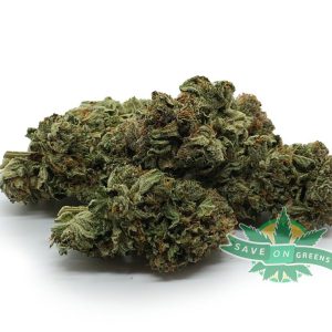 god bud bulk