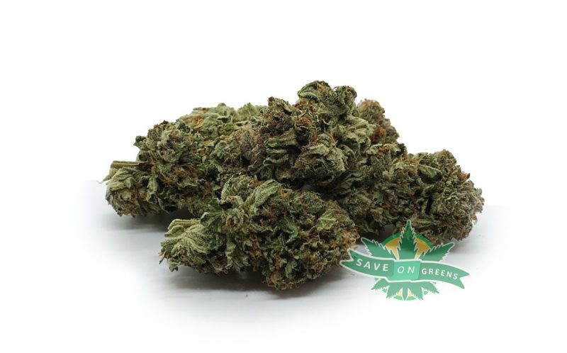 god bud bulk