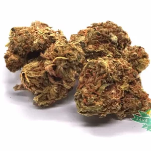Hashberry (AA)
