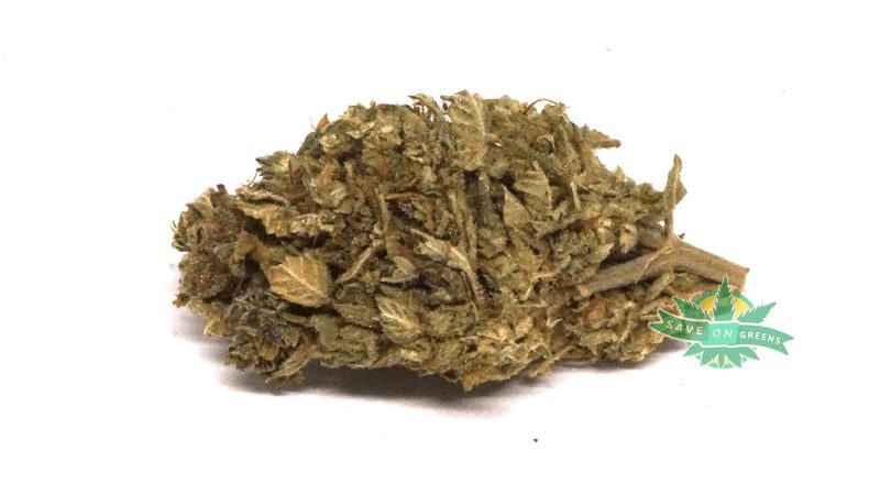hashplant 1