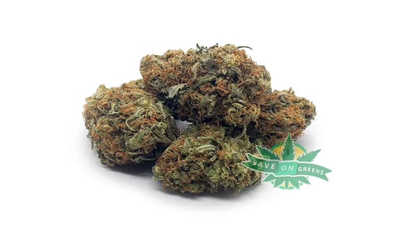 Hashplant Haze (AA)