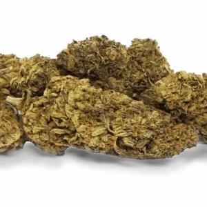 Hawaiian (AA)