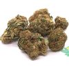 Hindu Kush