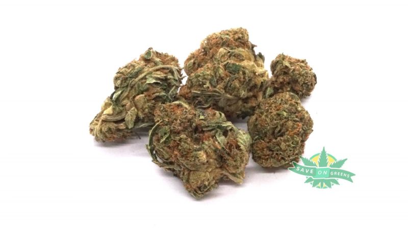 Hindu Kush