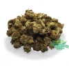 Hindu Kush