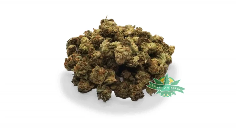 Hindu Kush